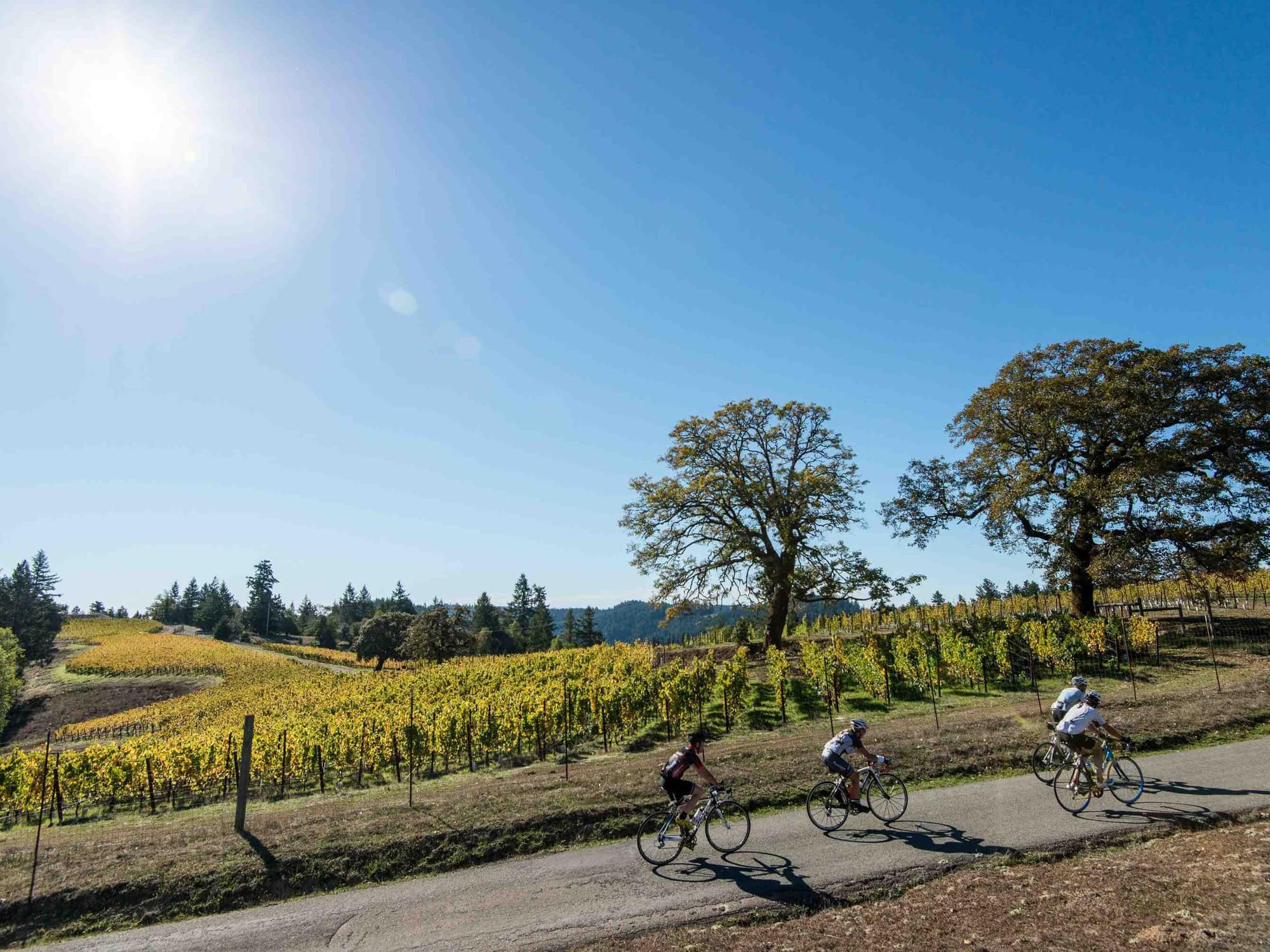 The Sonoma Wine Country Bike Weekend